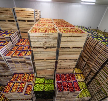 cold couriers brisbane 06